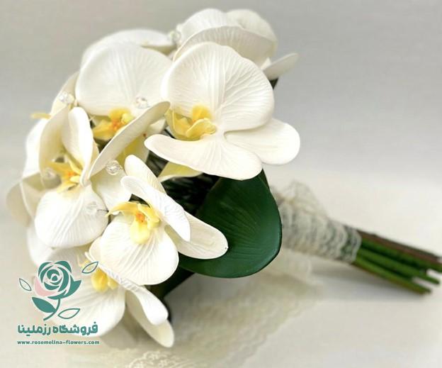 نحوه نگه داری و مراقبت از ارکیده